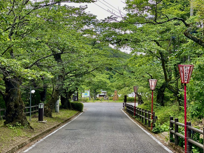 グランピング場